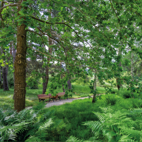 Frankfurter Parks, Gärten und Anlagen