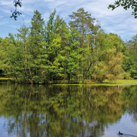 Frankfurter Parks, Gärten und Anlagen