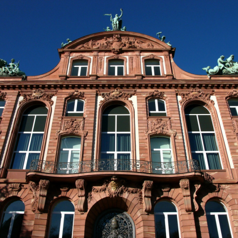 Senckenberg Naturmuseum Frankfurt