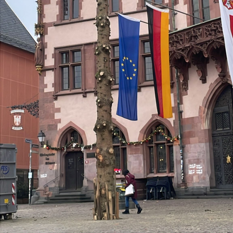 Frankfurter Weihnachtsbaum