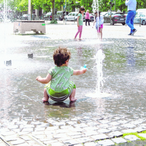 Klimawandel in Frankfurt