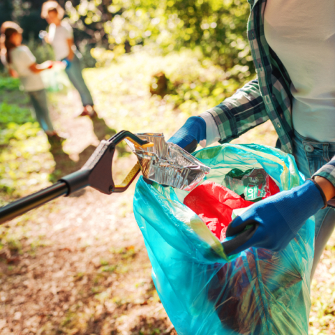 Frankfurt Cleanup