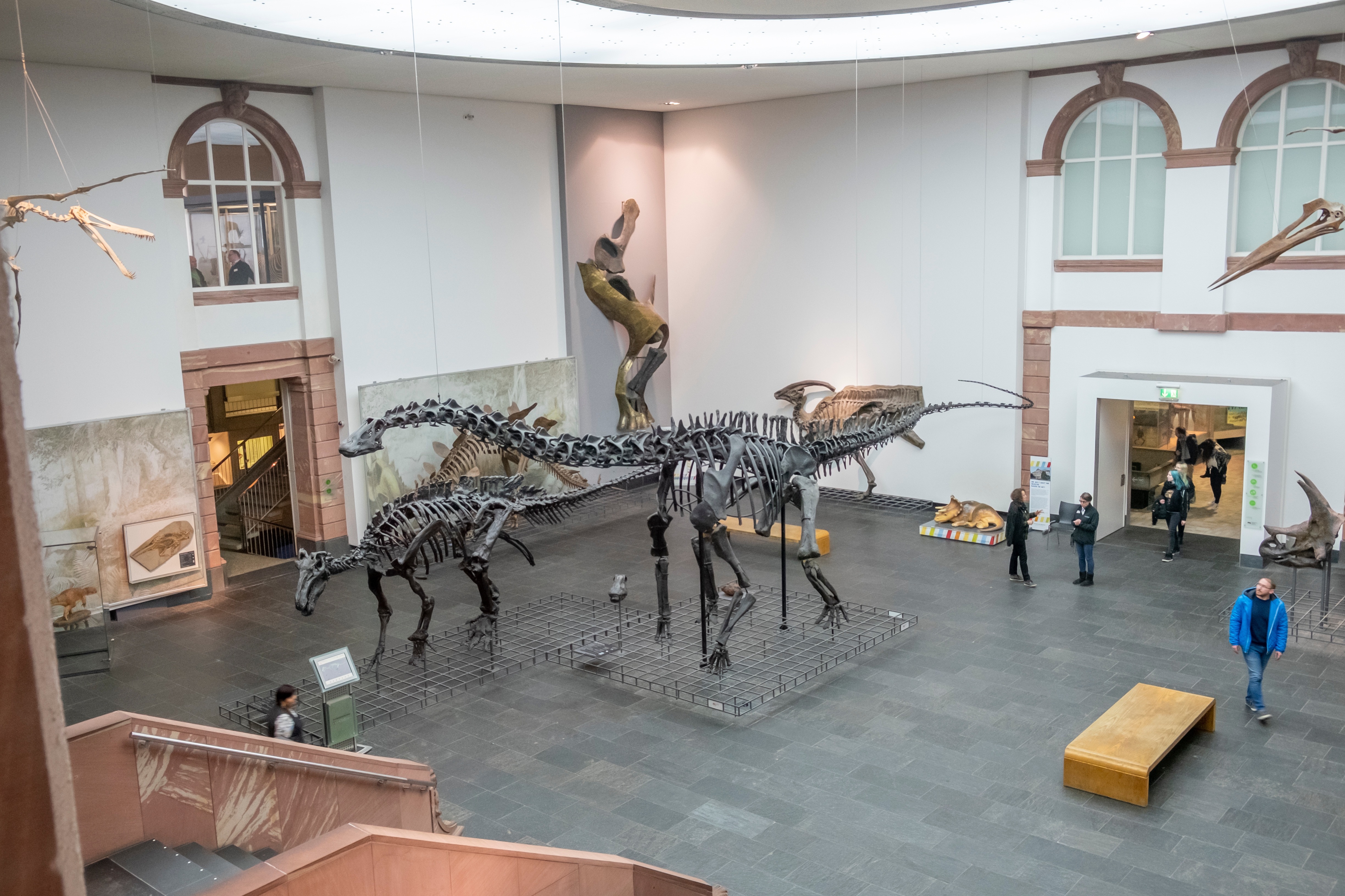 Mehr als 10 000 Ausstellungsstücke sind hier zu sehen, darunter die größte Zahl an Dinosaurier­arten in Deutschland., Credit: © AdobeStock/travelview