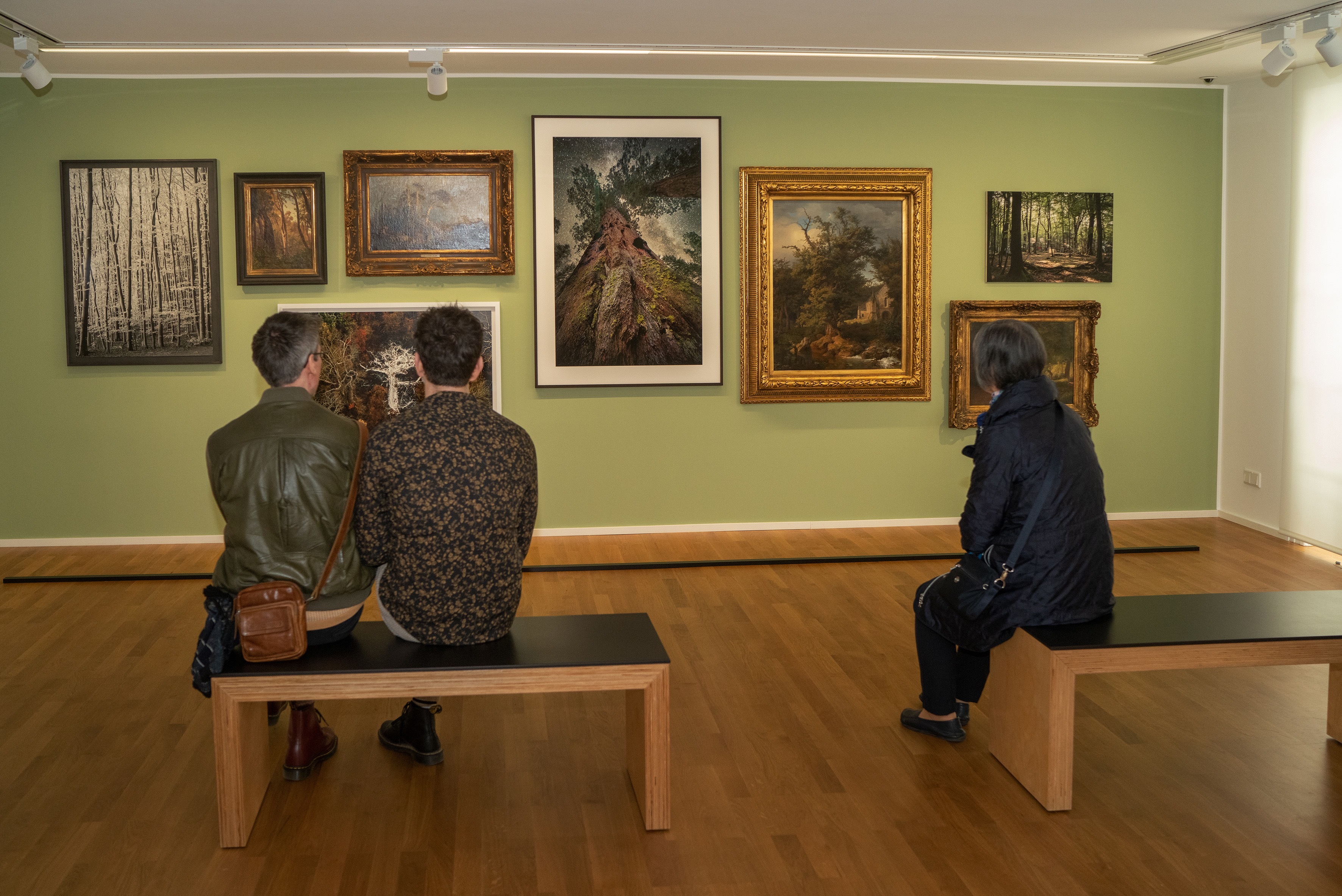 Bis 11. August widmet sich das Museum dem Thema „Wälder. Von der Romantik in die Zukunft“., Credit: © Museum Sinclair-Haus/Anja Jahn