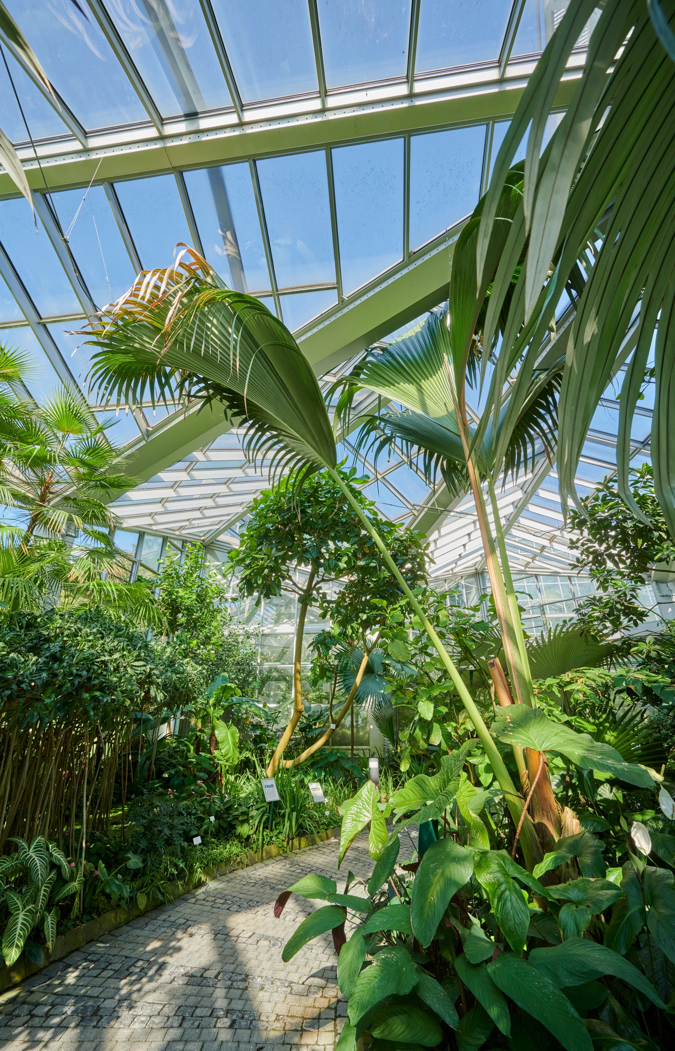 Das Tropicarium umfasst 14 Glashäuser und ist an einigen Stellen bis zu 15 Metern hoch., Credit: © Tom Wolf