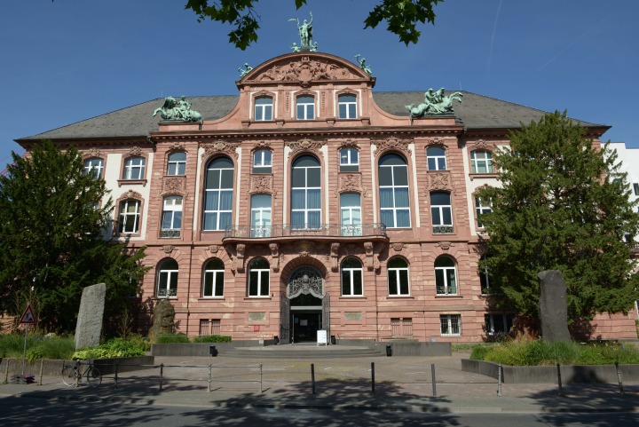 Foto: Senckenberg-Naturmuseum