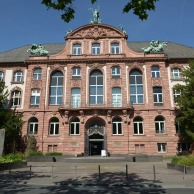 Foto: Senckenberg-Naturmuseum