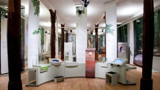 Foto: www.jagdschloss-kranichstein_de/museenbioversum