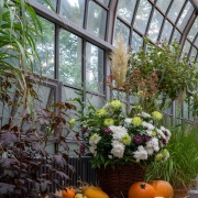 Foto: © Palmengarten der Stadt Frankfurt