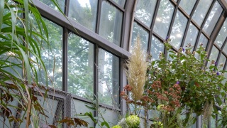 Foto: © Palmengarten der Stadt Frankfurt