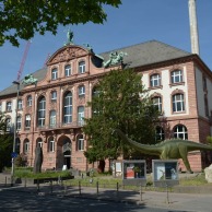 Foto: Senckenberg-Naturmuseum