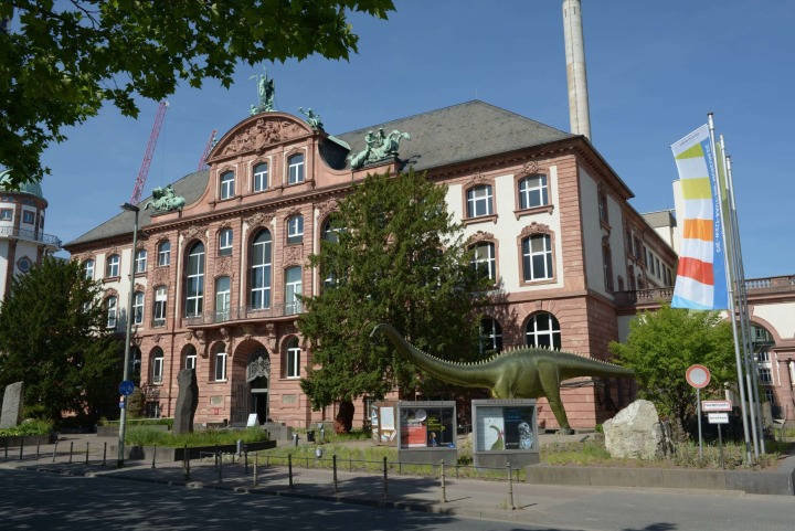 Foto: Senckenberg