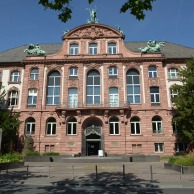 Foto: Senckenberg