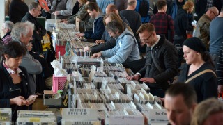 Foto: Harald Groenitz
