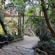 Foto: Zoo Frankfurt