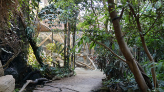 Foto: Zoo Frankfurt