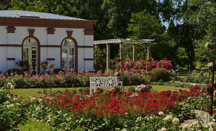 Foto: Palmengarten der Stadt Frankfurt, Tom Wolf