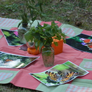 Foto: Naturpark Hessischer Spessart