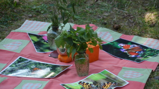 Foto: Naturpark Hessischer Spessart