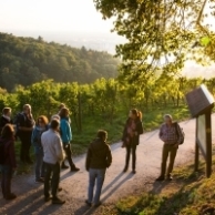 Foto: frankfurter-stadtevents