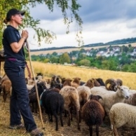 Foto: frankfurter-stadtevents